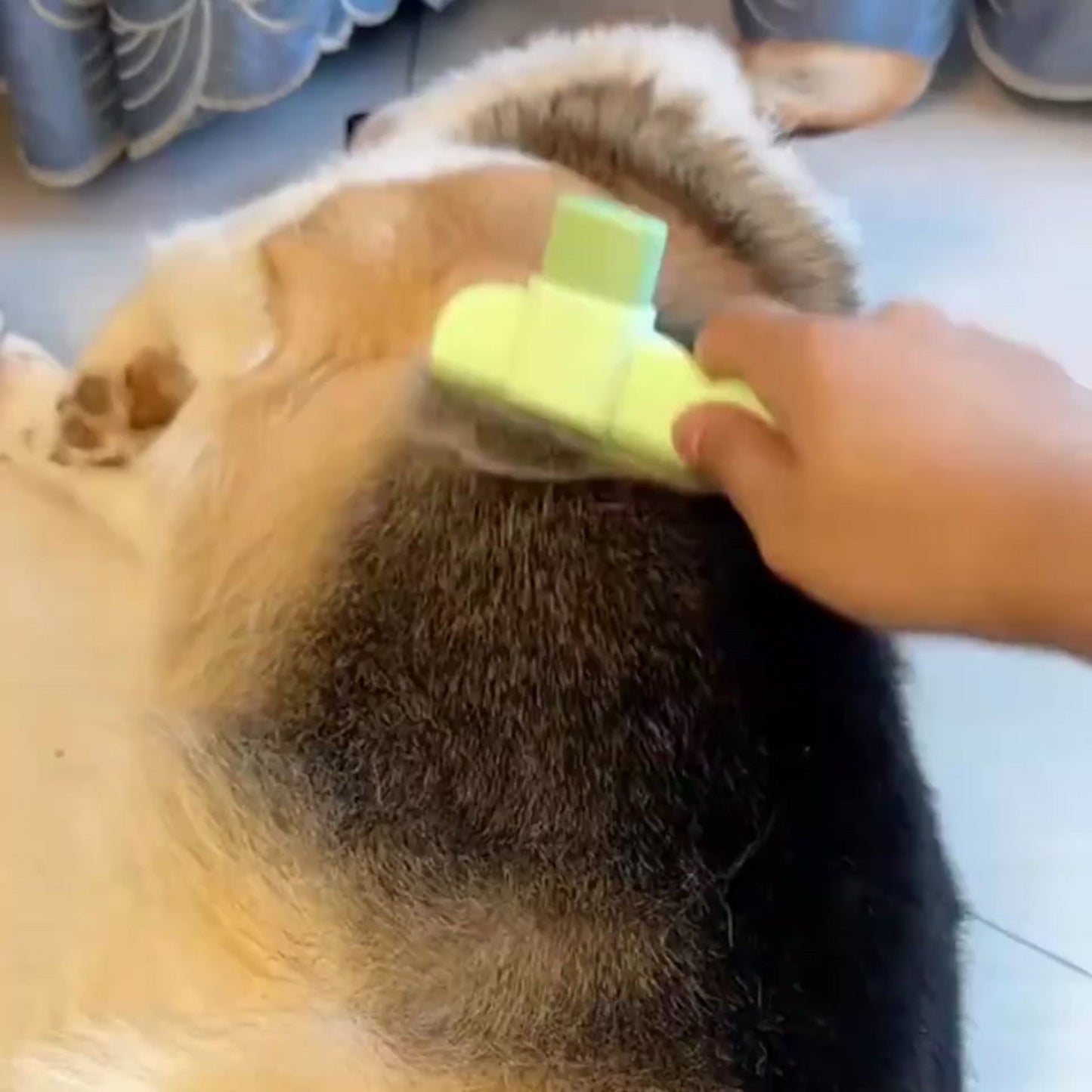 Furvana Pet Comb