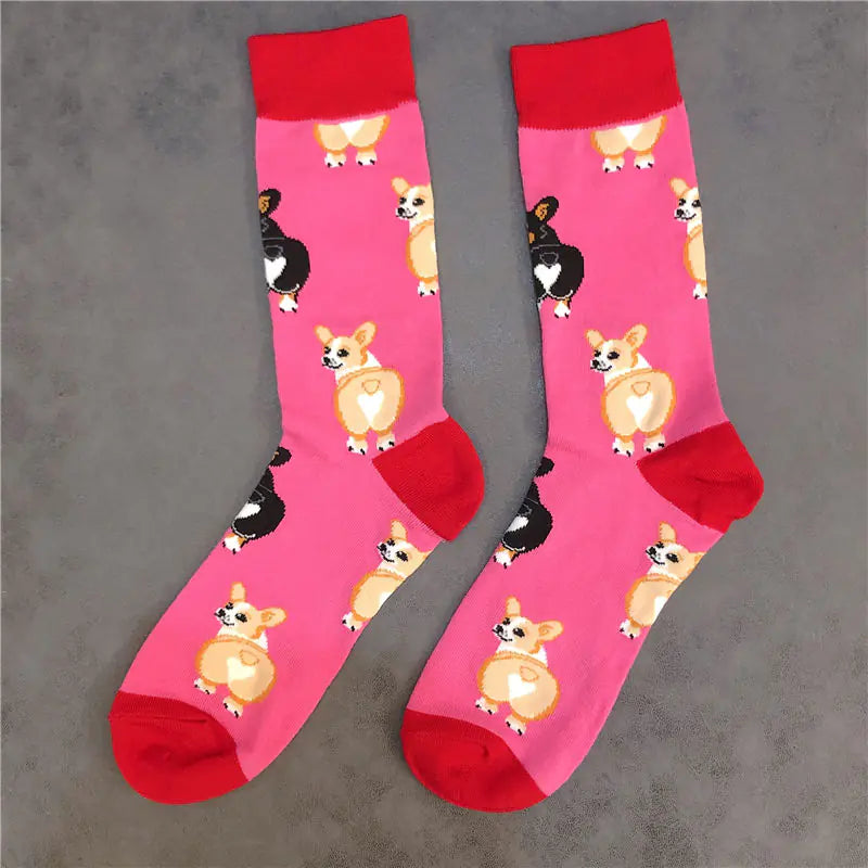 Corgi Cutie Socks ππ
