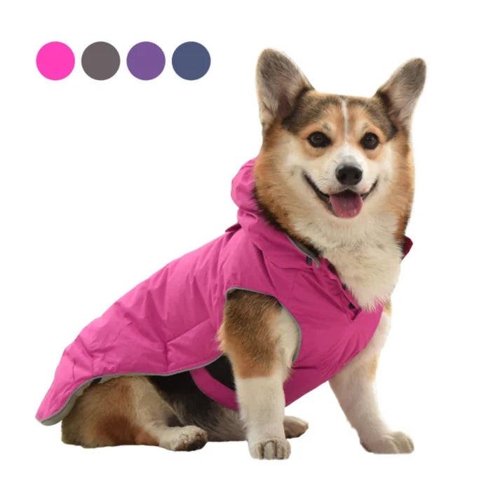 CorgiPuff - Puffer Jacket
