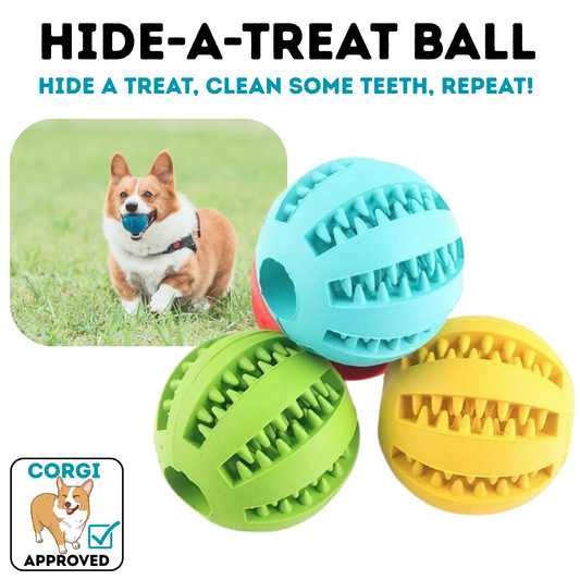 Hide-a-Treat Ball