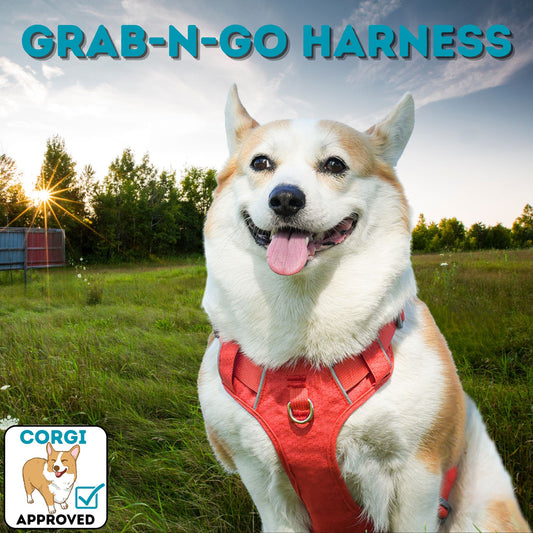 Grab-N-Go Harness