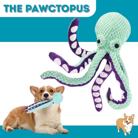 Pawctopus
