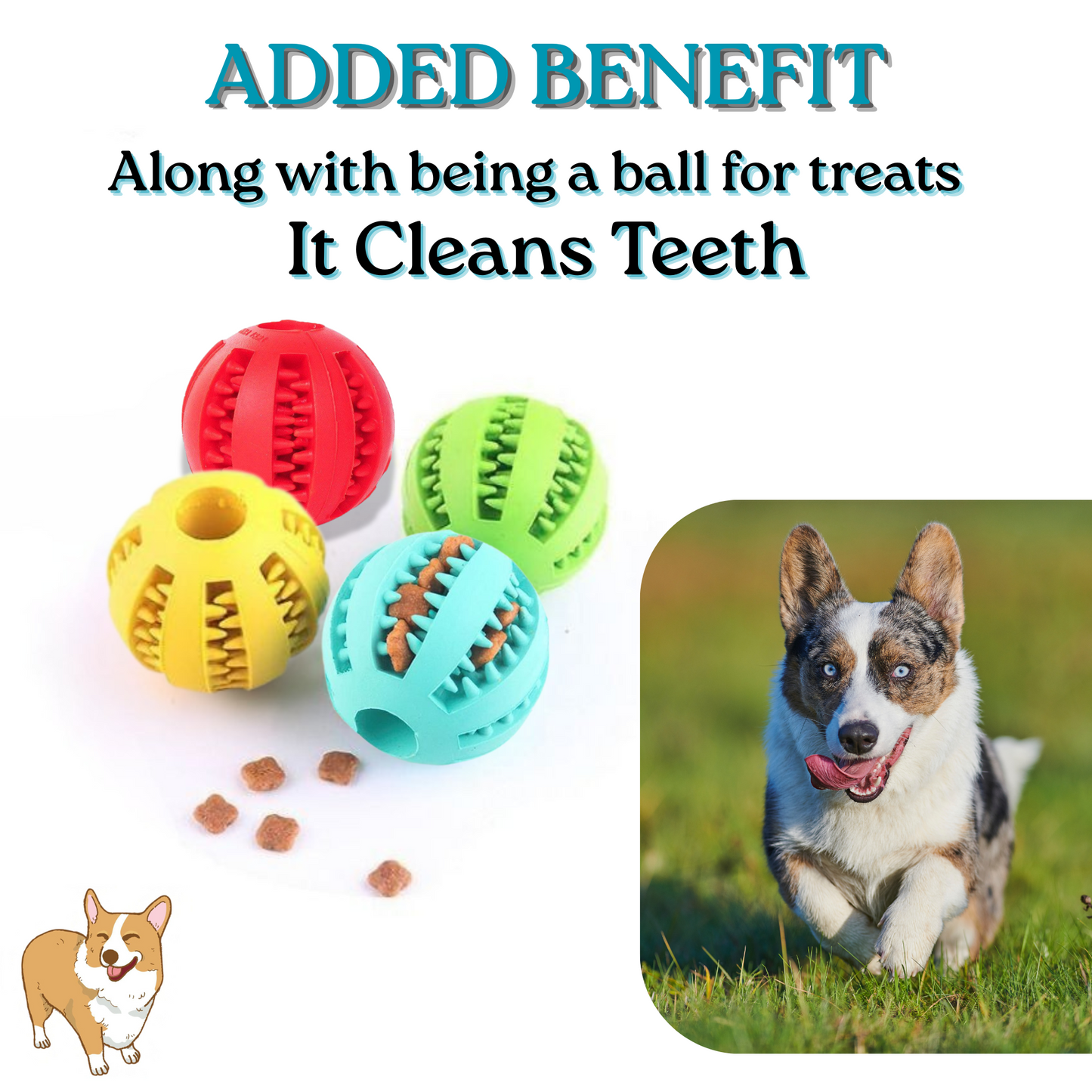 Hide-a-Treat Ball