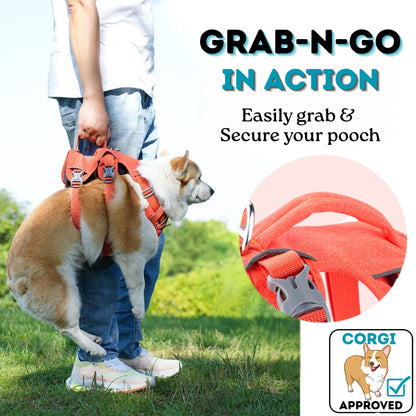 Grab-N-Go Harness