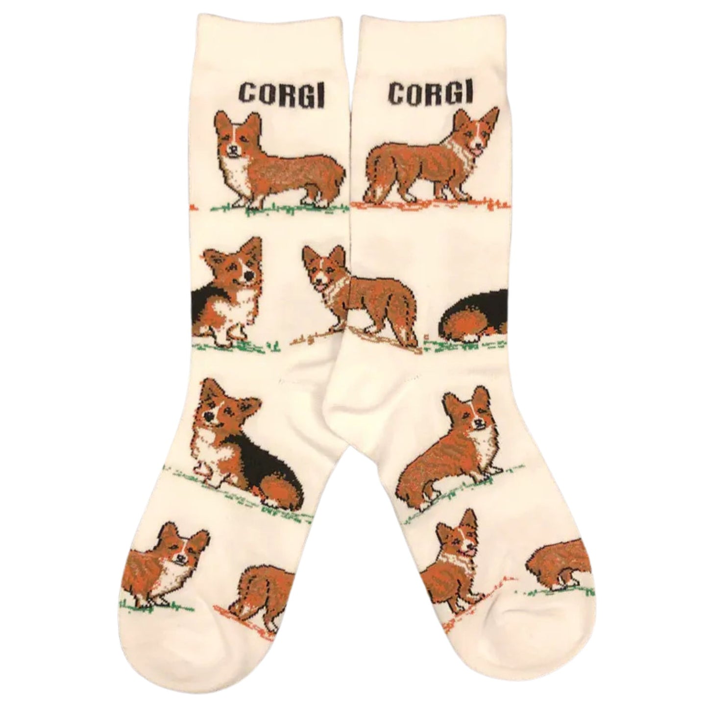 Corgi Cutie Socks 💛🍑