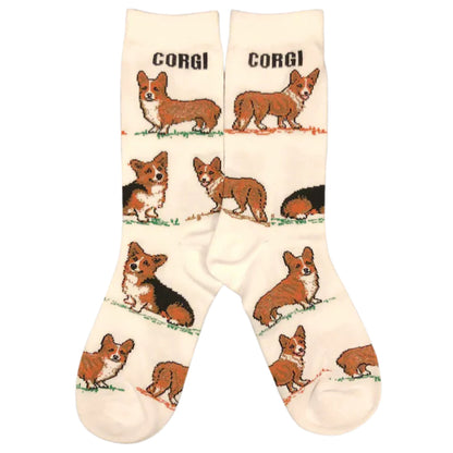 Corgi Cutie Socks 💛🍑