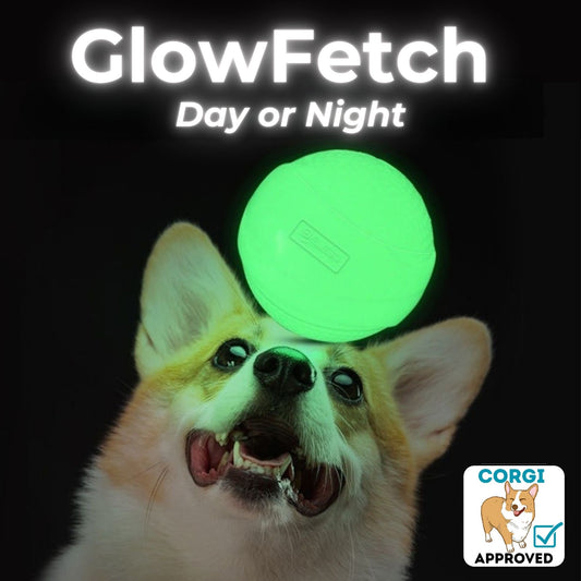 GlowFetch Bouncy Ball