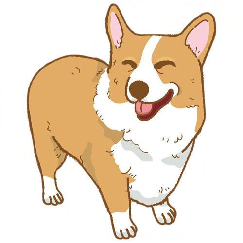 Corgi Luv