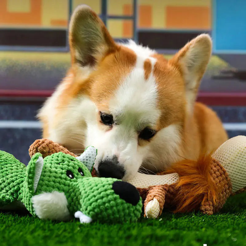 Animal Chew Tow